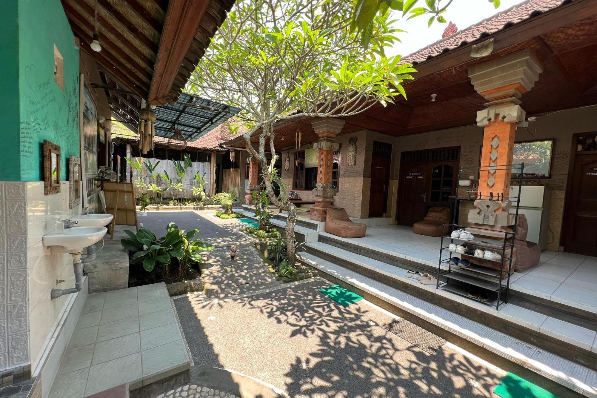 Padi-Padi Hostel & Bar Ubud  Luaran gambar